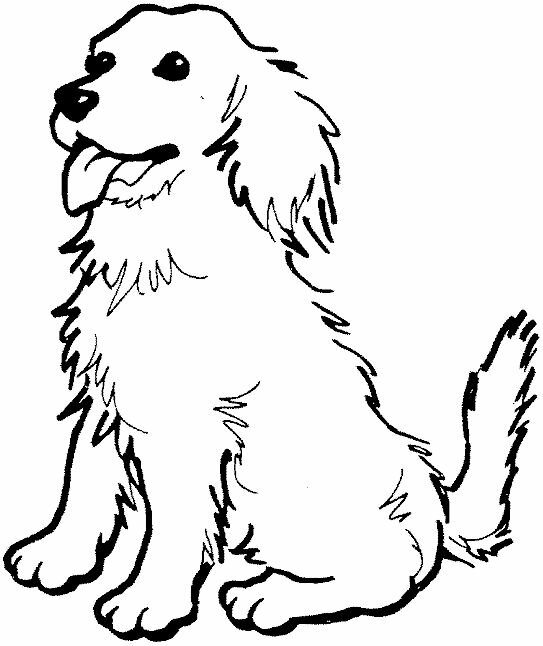 Coloring Page Of A Golden Retriever KidPrintablescom Coloring Pages